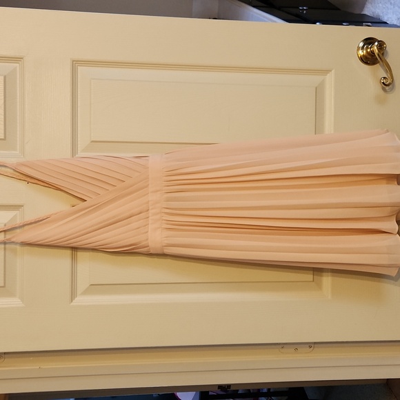 Endless Rose Blush Mini Dress - Picture 2 of 9